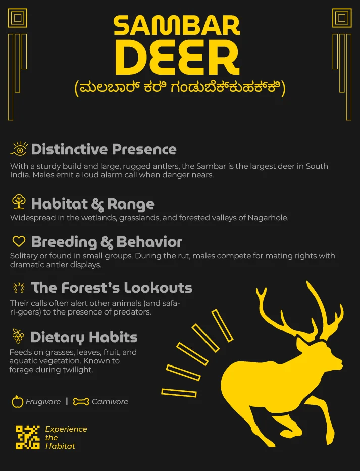 Species board for the sambar deer, laid out to match the gaur board, with a yellow silhouette of a stag mid-stride and its alarm call given its own section