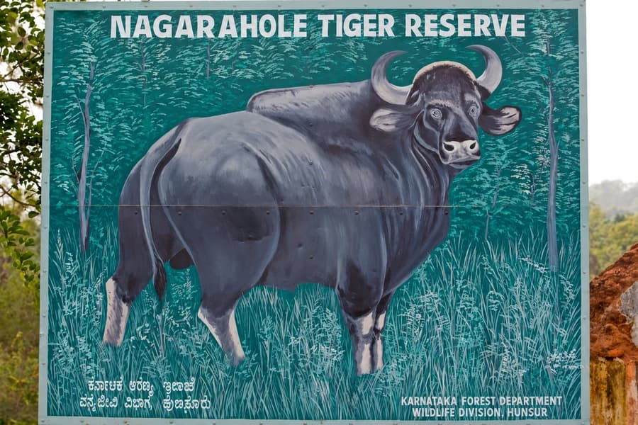 A hand-painted Nagarahole Tiger Reserve board with a gaur illustration, fresh paint, Kannada and English department credit at the foot