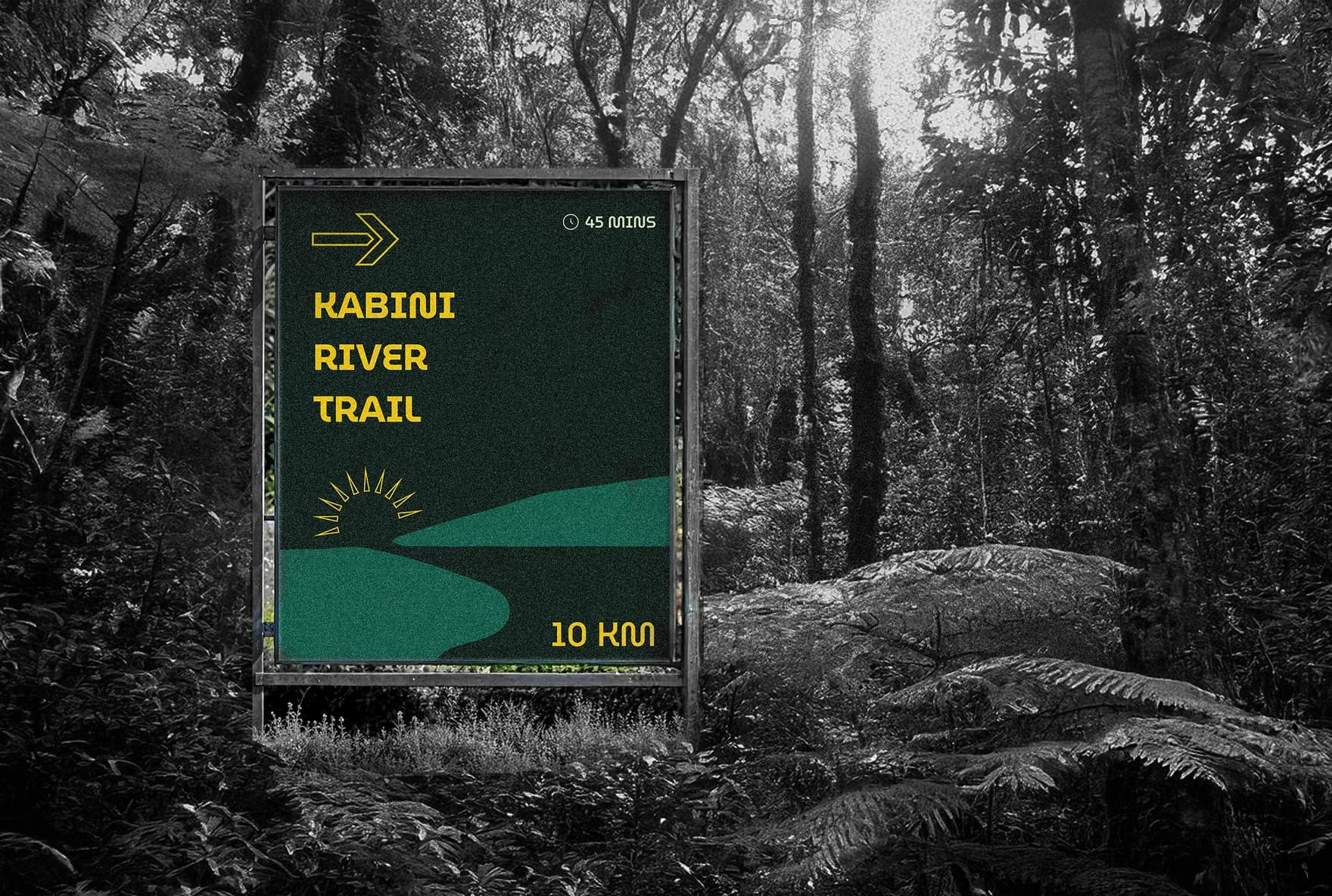 The green Kabini River Trail board mounted in a frame among ferns, its arrow, 45 mins and 10 km set against the drained forest behind it