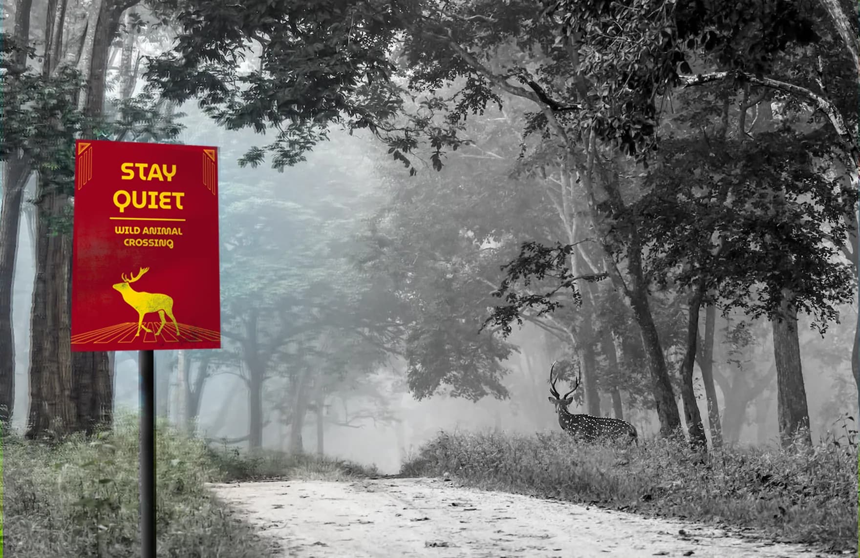 The crimson Stay Quiet board on a post beside a misty track, a spotted deer standing further down the same track behind it
